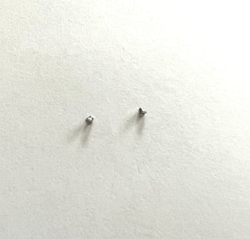 OMEGA SCREW (SET OF 2) FOR OMEGA STEEL WATCH BRACELET - WATCHBAND EXPERT