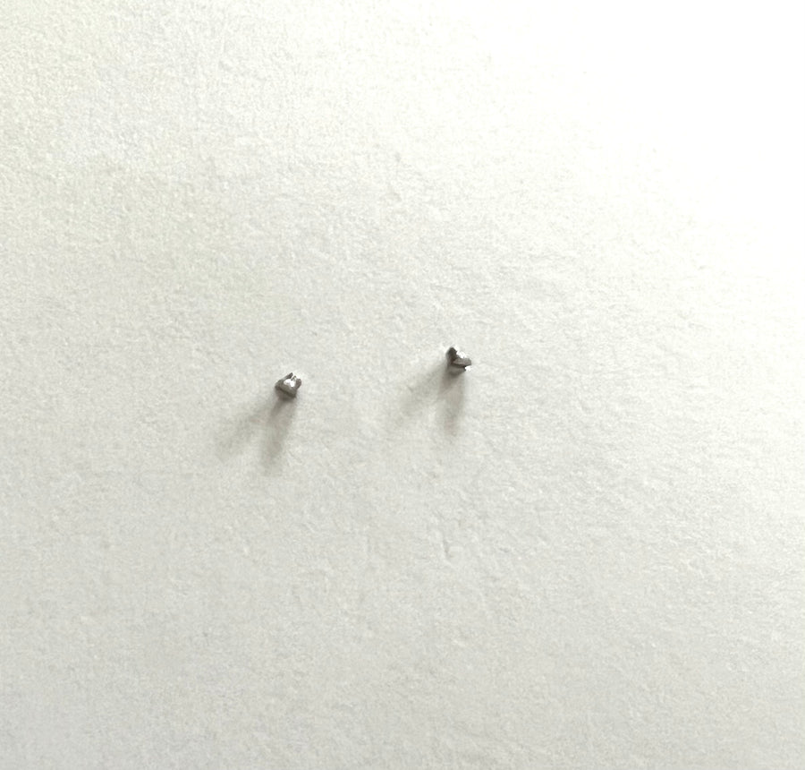 OMEGA SCREW (SET OF 2) FOR OMEGA STEEL WATCH BRACELET - WATCHBAND EXPERT